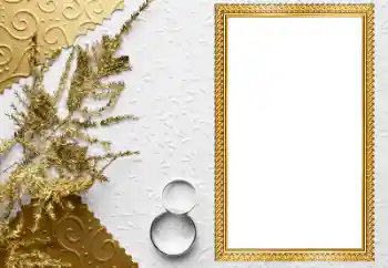 Fotoeffekt aus der Kategorie Hochzeitsrahmen № 205549