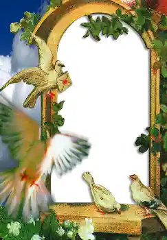 Fotoeffekt aus der Kategorie Hochzeitsrahmen № 2648