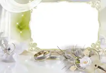 Fotoeffekt aus der Kategorie Hochzeitsrahmen № 26568
