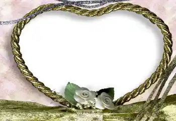 Fotoeffekt aus der Kategorie Hochzeitsrahmen № 2866