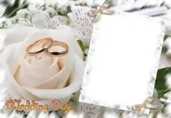 Fotoeffekt aus der Kategorie Hochzeitsrahmen № 31729. Beschriftung auf dem Rahmen: Wedding Day