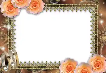 Fotoeffekt aus der Kategorie Hochzeitsrahmen № 45669