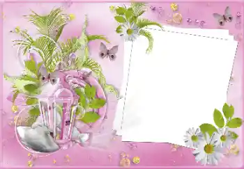Fotoeffekt aus der Kategorie Hochzeitsrahmen № 81487