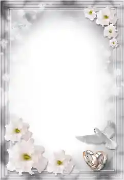 Fotoeffekt aus der Kategorie Hochzeitsrahmen № 8724