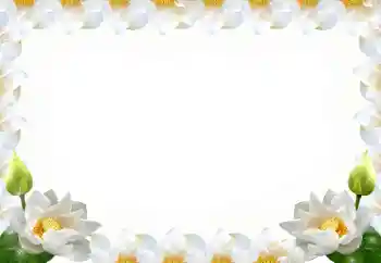 Fotoeffekt aus der Kategorie Fotorahmen für Frauen № 102569