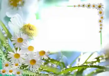Fotoeffekt aus der Kategorie Fotorahmen für Frauen № 102749