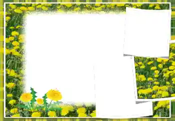 Fotoeffekt aus der Kategorie Fotorahmen für Frauen № 103949