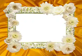 Fotoeffekt aus der Kategorie Fotorahmen für Frauen № 104047