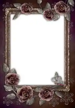 Fotoeffekt aus der Kategorie Fotorahmen für Frauen № 105180