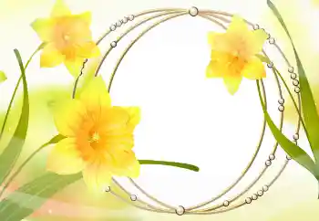 Fotoeffekt aus der Kategorie Fotorahmen für Frauen № 105478