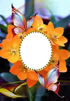 Fotoeffekt aus der Kategorie Fotorahmen für Frauen № 105575