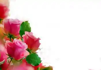 Fotoeffekt aus der Kategorie Fotorahmen für Frauen № 112139