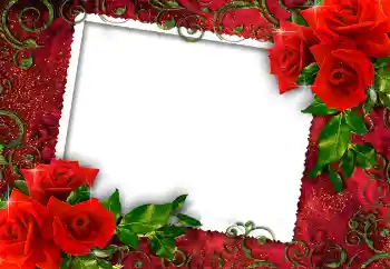 Fotoeffekt aus der Kategorie Fotorahmen für Frauen № 112252