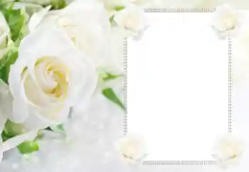 Fotoeffekt aus der Kategorie Fotorahmen für Frauen № 112529 Fotoeffekt aus der Kategorie Fotorahmen für Frauen № 112529