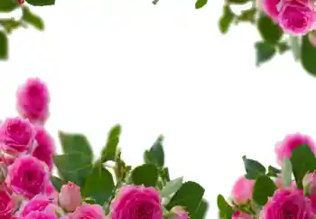 Fotoeffekt aus der Kategorie Fotorahmen für Frauen № 114237 Fotoeffekt aus der Kategorie Fotorahmen für Frauen № 114237