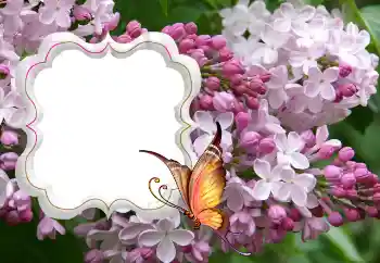 Fotoeffekt aus der Kategorie Fotorahmen für Frauen № 114264