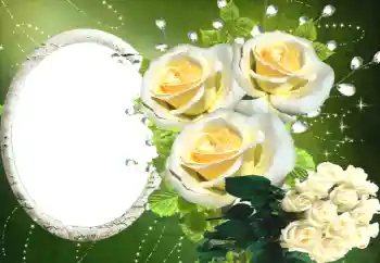 Fotoeffekt aus der Kategorie Fotorahmen für Frauen № 114330