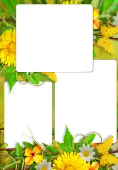 Fotoeffekt aus der Kategorie Fotorahmen für Frauen № 114738