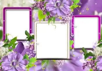 Fotoeffekt aus der Kategorie Fotorahmen für Frauen № 116124