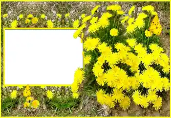 Fotoeffekt aus der Kategorie Fotorahmen für Frauen № 116202