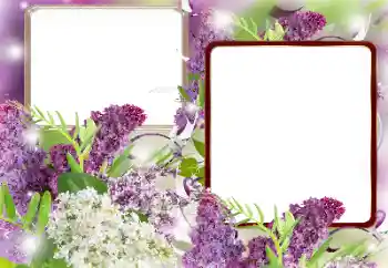 Fotoeffekt aus der Kategorie Fotorahmen für Frauen № 121086