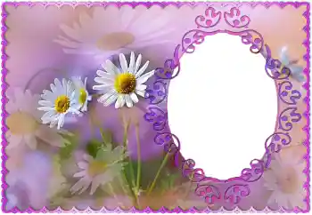 Fotoeffekt aus der Kategorie Fotorahmen für Frauen № 121118