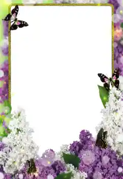 Fotoeffekt aus der Kategorie Fotorahmen für Frauen № 123231