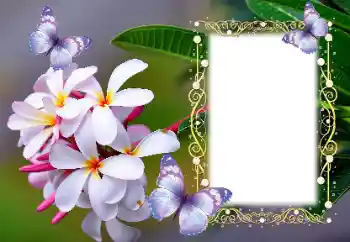 Fotoeffekt aus der Kategorie Fotorahmen für Frauen № 123254