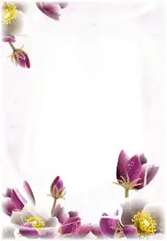 Fotoeffekt aus der Kategorie Fotorahmen für Frauen № 124368