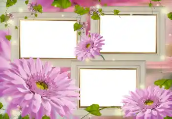 Fotoeffekt aus der Kategorie Fotorahmen für Frauen № 124509