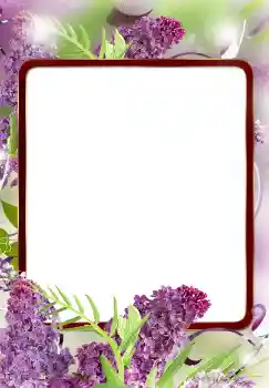 Fotoeffekt aus der Kategorie Fotorahmen für Frauen № 124572