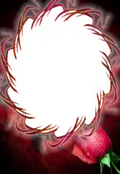 Fotoeffekt aus der Kategorie Fotorahmen für Frauen № 125687