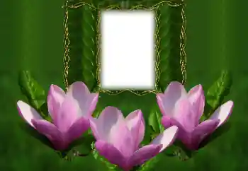 Fotoeffekt aus der Kategorie Fotorahmen für Frauen № 126934 Fotoeffekt aus der Kategorie Fotorahmen für Frauen № 126934