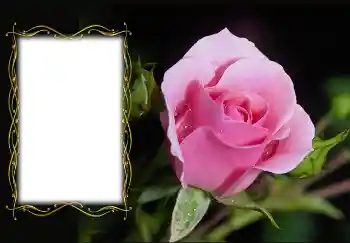 Fotoeffekt aus der Kategorie Fotorahmen für Frauen № 126936 Fotoeffekt aus der Kategorie Fotorahmen für Frauen № 126936