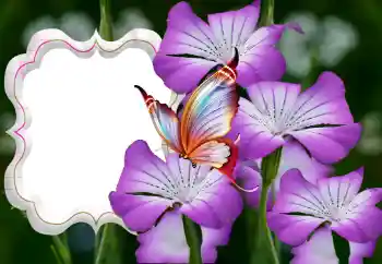 Fotoeffekt aus der Kategorie Fotorahmen für Frauen № 126944 Fotoeffekt aus der Kategorie Fotorahmen für Frauen № 126944