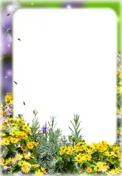 Fotoeffekt aus der Kategorie Fotorahmen für Frauen № 127113