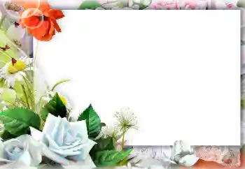Fotoeffekt aus der Kategorie Fotorahmen für Frauen № 127301 Fotoeffekt aus der Kategorie Fotorahmen für Frauen № 127301