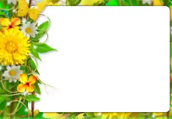 Fotoeffekt aus der Kategorie Fotorahmen für Frauen № 127303