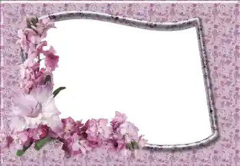 Fotoeffekt aus der Kategorie Fotorahmen für Frauen № 12831
