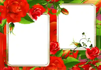 Fotoeffekt aus der Kategorie Fotorahmen für Frauen № 128335