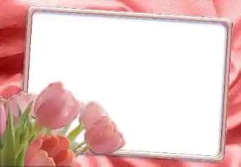 Fotoeffekt aus der Kategorie Fotorahmen für Frauen № 12865