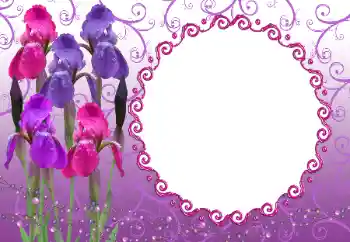 Fotoeffekt aus der Kategorie Fotorahmen für Frauen № 12894
