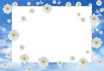 Fotoeffekt aus der Kategorie Fotorahmen für Frauen № 12899