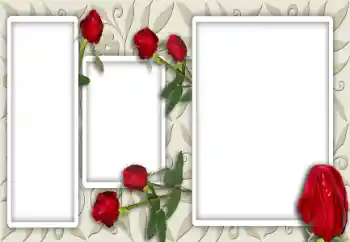 Fotoeffekt aus der Kategorie Fotorahmen für Frauen № 12947