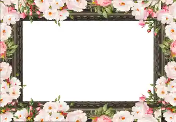 Fotoeffekt aus der Kategorie Fotorahmen für Frauen № 130792