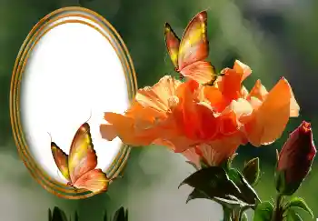 Fotoeffekt aus der Kategorie Fotorahmen für Frauen № 131127