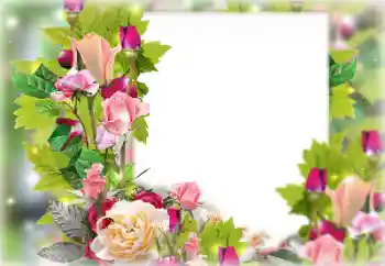 Fotoeffekt aus der Kategorie Fotorahmen für Frauen № 131178