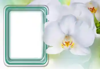 Fotoeffekt aus der Kategorie Fotorahmen für Frauen № 131485