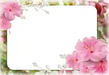 Fotoeffekt aus der Kategorie Fotorahmen für Frauen № 131609