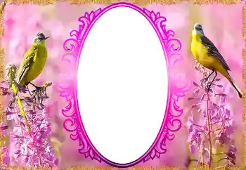 Fotoeffekt aus der Kategorie Fotorahmen für Frauen № 132879